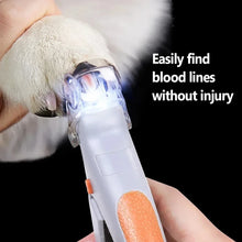 2-in-1 Paw Grooming Kit