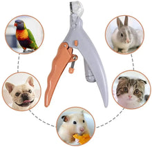 2-in-1 Paw Grooming Kit